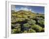 Volcano Scenery at the Pico De Tablas, Island La Palma, Canary Islands, Spain-Rainer Mirau-Framed Photographic Print