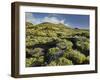 Volcano Scenery at the Pico De Tablas, Island La Palma, Canary Islands, Spain-Rainer Mirau-Framed Photographic Print