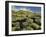 Volcano Scenery at the Pico De Tablas, Island La Palma, Canary Islands, Spain-Rainer Mirau-Framed Photographic Print