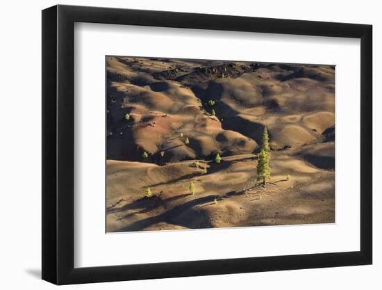 Volcano Scenery in the Evening Light, Lassen Volcanic National Park, California-Marco Isler-Framed Photographic Print