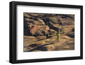 Volcano Scenery in the Evening Light, Lassen Volcanic National Park, California-Marco Isler-Framed Photographic Print