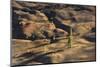 Volcano Scenery in the Evening Light, Lassen Volcanic National Park, California-Marco Isler-Mounted Photographic Print