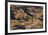 Volcano Scenery in the Evening Light, Lassen Volcanic National Park, California-Marco Isler-Framed Photographic Print