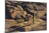 Volcano Scenery in the Evening Light, Lassen Volcanic National Park, California-Marco Isler-Mounted Photographic Print