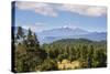 Volcano Villarrica and the Beautiful Landscape, Southern Chile, South America-Michael Runkel-Stretched Canvas