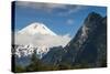 Volcano Villarrica and the Beautiful Landscape, Southern Chile, South America-Michael Runkel-Stretched Canvas