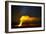 Volcanoes Nat'l Park, Hawaii-Art Wolfe-Framed Photographic Print