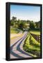 Essential Black