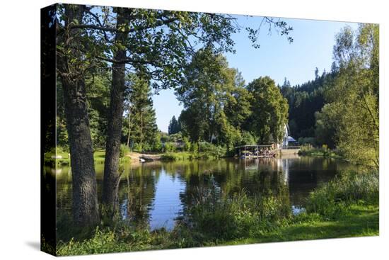 Stretched Canvas Print, , large
