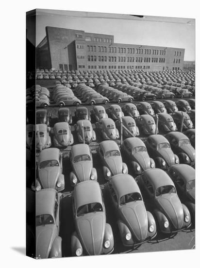 Volkswagen Factory Rolls an Average of 150 Efficient 4 Cylinder Sedans Into Storage Yards Every Day-Walter Sanders-Stretched Canvas