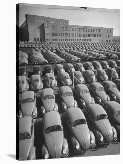 Volkswagen Factory Rolls an Average of 150 Efficient 4 Cylinder Sedans Into Storage Yards Every Day-Walter Sanders-Stretched Canvas