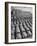 Volkswagen Factory Rolls an Average of 150 Efficient 4 Cylinder Sedans Into Storage Yards Every Day-Walter Sanders-Framed Photographic Print