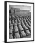 Volkswagen Factory Rolls an Average of 150 Efficient 4 Cylinder Sedans Into Storage Yards Every Day-Walter Sanders-Framed Photographic Print