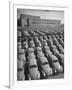 Volkswagen Factory Rolls an Average of 150 Efficient 4 Cylinder Sedans Into Storage Yards Every Day-Walter Sanders-Framed Photographic Print