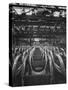 Volkswagen Plant Assembly Line of Car Frames-James Whitmore-Stretched Canvas