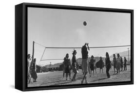 Volley Ball Game-Ansel Adams-Framed Stretched Canvas