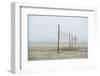 Volleyball nets on the beach, Cannon Beach, Oregon, USA-Panoramic Images-Framed Photographic Print