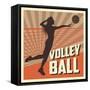 Volleyball Sport and Hobby Design-Jemastock-Framed Stretched Canvas