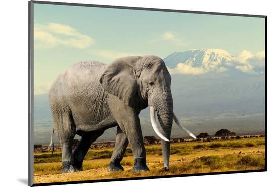 Photographic Print, , large