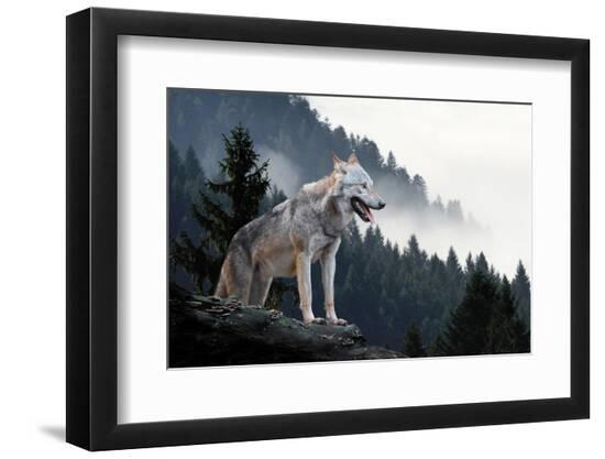 Premium Photographic Print, , large