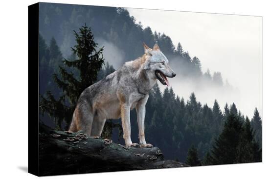 Stretched Canvas Print, , large