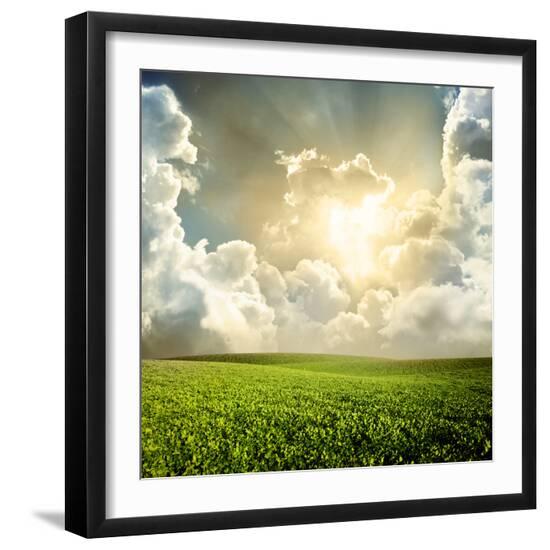 Photographic Print, , large