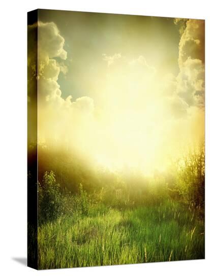 Stretched Canvas Print, , large