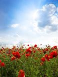 Red Poppies on Green Field, Sky and  Clouds-Volokhatiuk-Photographic Print