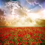 Red Poppies on Green Field, Sky and  Clouds-Volokhatiuk-Photographic Print