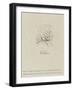 Voltaire (1694-1778), Represented Old, Profile, 1778-Claude Joseph Vernet-Framed Giclee Print