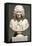 Voltaire, 1778 (Marble)-Jean-Antoine Houdon-Framed Stretched Canvas