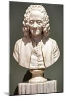 Voltaire, 1778 (Marble)-Jean-Antoine Houdon-Mounted Giclee Print