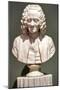 Voltaire, 1778 (Marble)-Jean-Antoine Houdon-Mounted Giclee Print