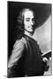 Voltaire-null-Mounted Photographic Print