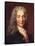 Voltaire-Catherine Lusurier-Framed Stretched Canvas