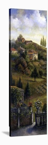 Volterra-Joe Sambataro-Stretched Canvas