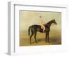 Voltigeur, with Job Marson Up-Samuel Spode-Framed Giclee Print