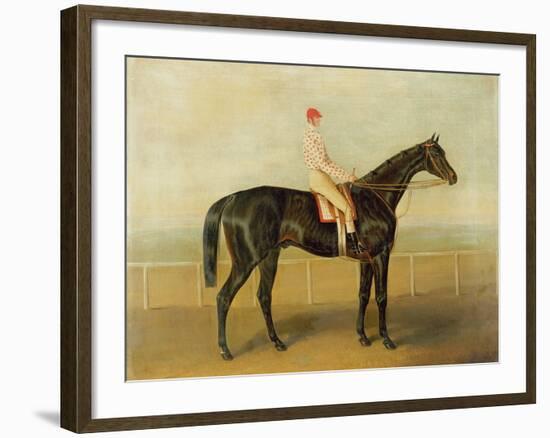 Voltigeur, with Job Marson Up-Samuel Spode-Framed Giclee Print