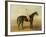 Voltigeur, with Job Marson Up-Samuel Spode-Framed Giclee Print