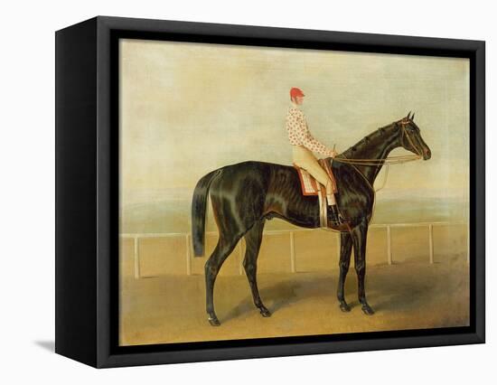 Voltigeur, with Job Marson Up-Samuel Spode-Framed Stretched Canvas