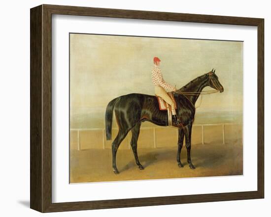 Voltigeur, with Job Marson Up-Samuel Spode-Framed Giclee Print