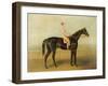 Voltigeur, with Job Marson Up-Samuel Spode-Framed Giclee Print