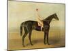 Voltigeur, with Job Marson Up-Samuel Spode-Mounted Giclee Print