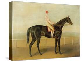 Voltigeur, with Job Marson Up-Samuel Spode-Stretched Canvas