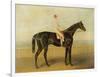 Voltigeur, with Job Marson Up-Samuel Spode-Framed Giclee Print