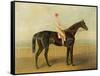 Voltigeur, with Job Marson Up-Samuel Spode-Framed Stretched Canvas