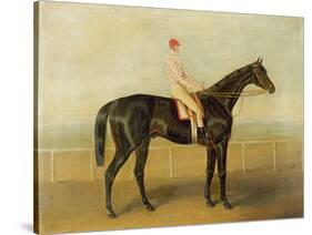 Voltigeur, with Job Marson Up-Samuel Spode-Stretched Canvas