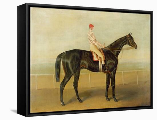 Voltigeur, with Job Marson Up-Samuel Spode-Framed Stretched Canvas