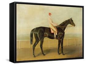 Voltigeur, with Job Marson Up-Samuel Spode-Framed Stretched Canvas