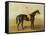 Voltigeur, with Job Marson Up-Samuel Spode-Framed Stretched Canvas